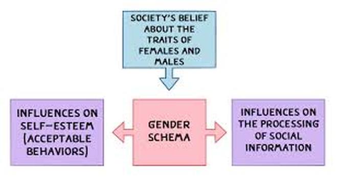 Gender Roles Exploration Of Ones Development In Life 8668